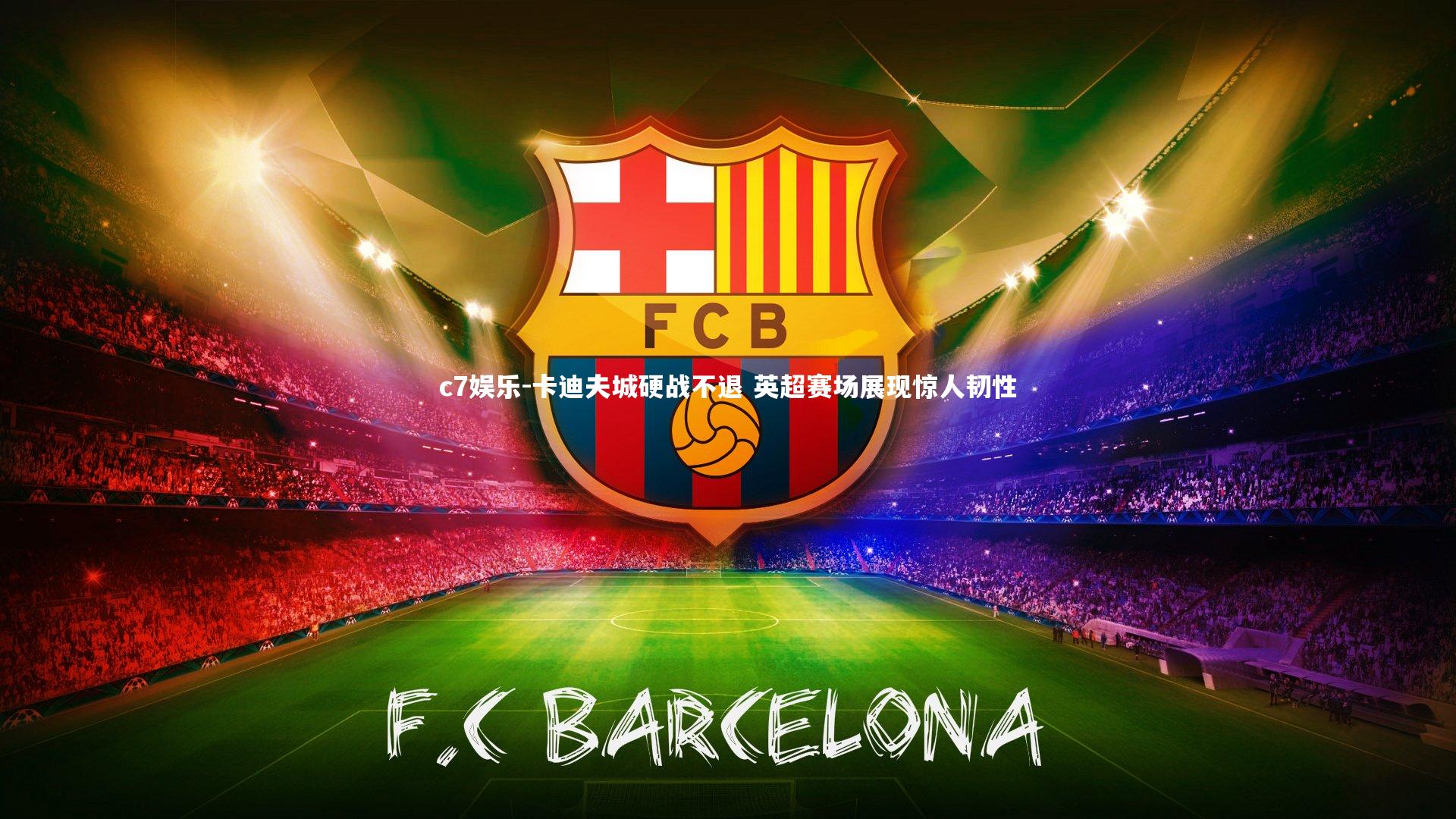 卡迪夫城硬战不退 英超赛场展现惊人韧性